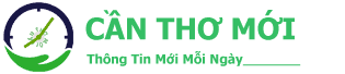 Cần Thơ Mới